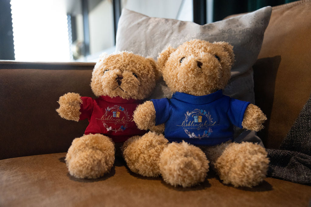 Lieblingskind-Teddybär mit rotem Shirt