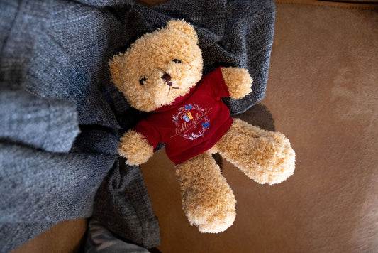 Lieblingskind-Teddybär mit rotem Shirt