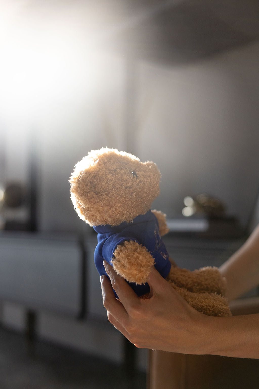 Lieblingskind-Teddybär mit königsblauem Shirt