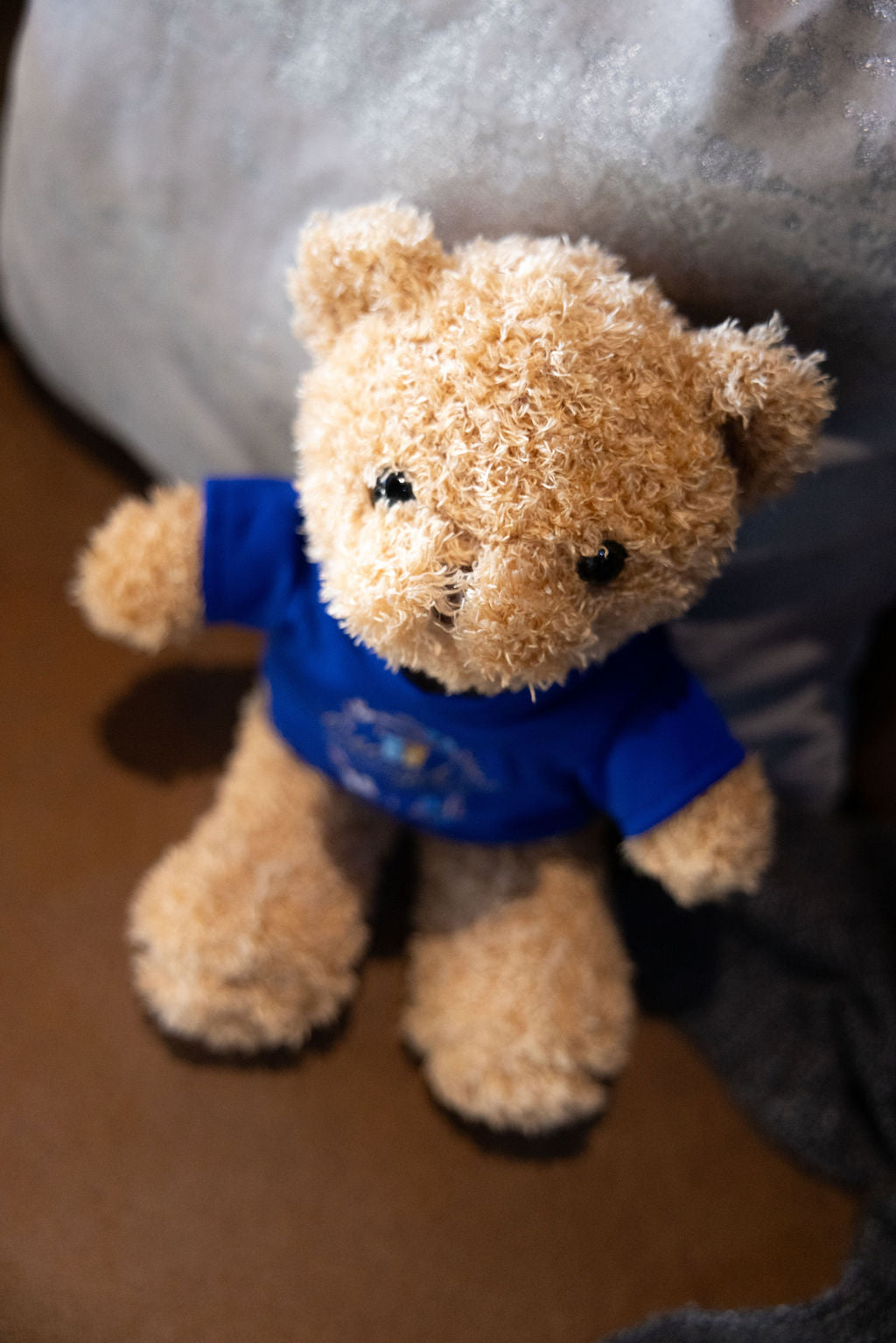 Lieblingskind-Teddybär mit königsblauem Shirt